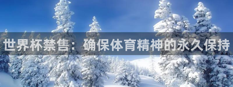 世界杯48支球队赛制：世界杯禁售：确保体育精神的永久保持