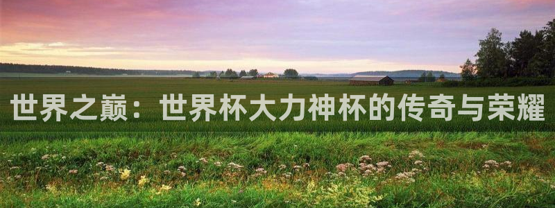 2026世界杯德国队阵容：世界之巅：世界杯大力神杯的传奇与荣耀