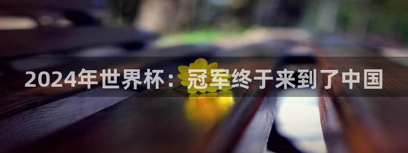 世界杯足球赛2026：2024年世界杯：冠军终于来到了中国