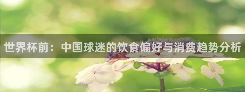 2026年世界杯时间表：世界杯前：中国球迷的饮食偏好与消费趋势分析
