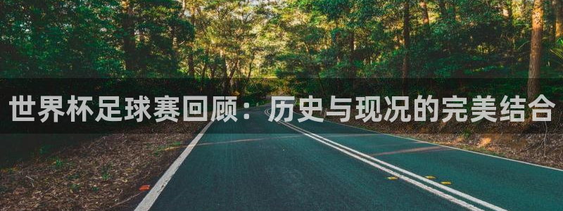 世界杯亚洲区预选赛赛程表：世界杯足球赛回顾：历史与现况的完美结合