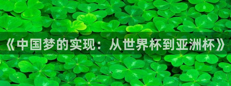世界杯预选赛赛程：《中国梦的实现：从世界杯到亚洲杯》