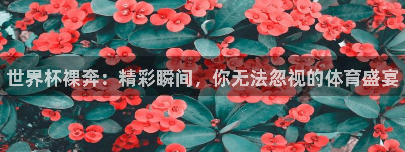 2026年世界杯赛程时间表格：世界杯裸奔：精彩瞬间，你无法忽视的体育盛宴