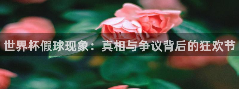2026世界杯亚洲区预选赛赛程：世界杯假球现象：真相与争议背后的狂欢节