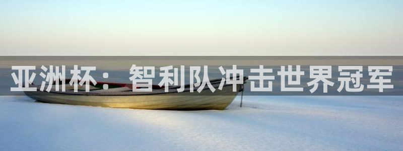 中国 世界杯：亚洲杯：智利队冲击世界冠军