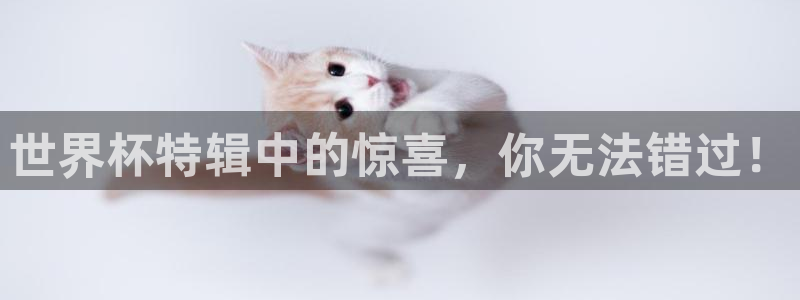 世界杯预选赛欧洲区赛程：世界杯特辑中的惊喜，你无法错过！