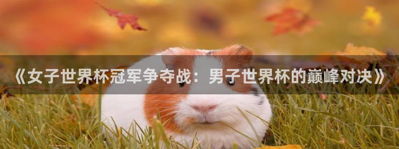 世界杯在线直播：《女子世界杯冠军争夺战：男子世界杯的巅峰对决》