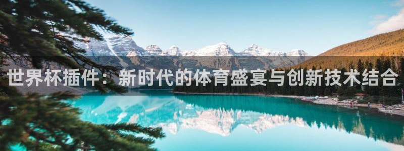 2026 世界杯：世界杯插件：新时代的体育盛宴与创新技术结合