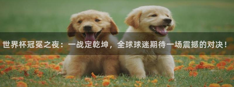 2026世界杯亚洲预选赛赛程:世界杯冠冕之夜:一战定乾坤,全球球迷期待一场震撼的对决!