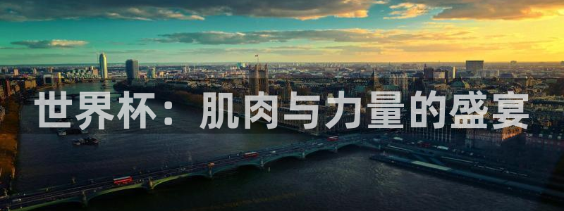 预选赛世界杯：世界杯：肌肉与力量的盛宴