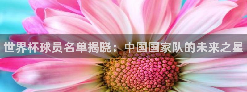 世界杯对阵表：世界杯球员名单揭晓：中国国家队的未来之星