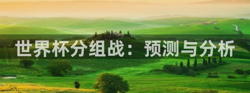 世界杯足球赛2026：世界杯分组战：预测与分析