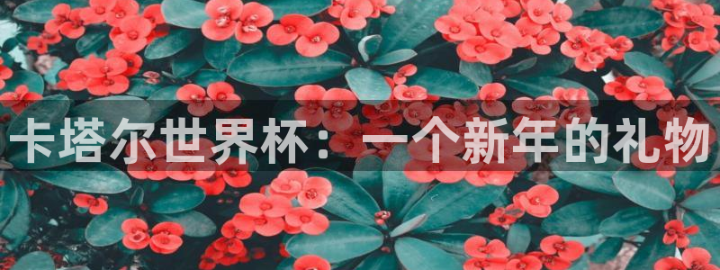 足球比分直播世界杯：卡塔尔世界杯：一个新年的礼物