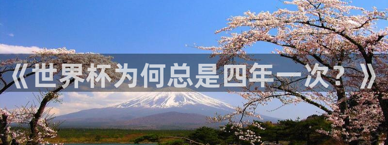 2026年世界杯直播平台：《世界杯为何总是四年一次？》