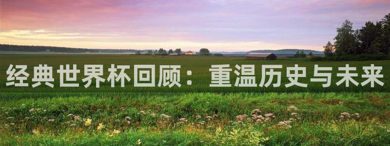 欧联杯直播：经典世界杯回顾：重温历史与未来
