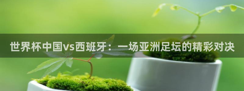 亚洲杯足球：世界杯中国vs西班牙：一场亚洲足坛的精彩对决