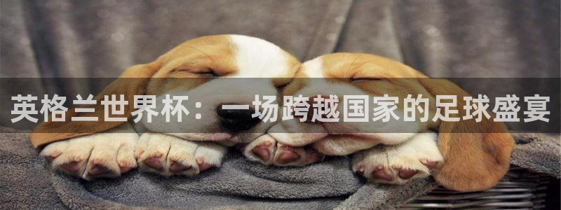 2026世界杯直播免费观看：英格兰世界杯：一场跨越国家的足球盛宴