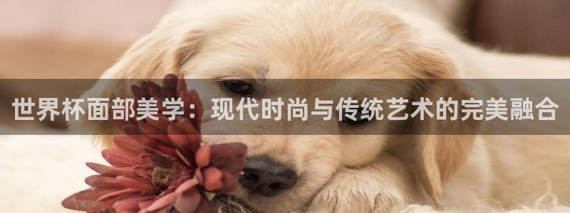 2026年足球世界杯赛程时间表：世界杯面部美学：现代时尚与传统艺术的完美融合